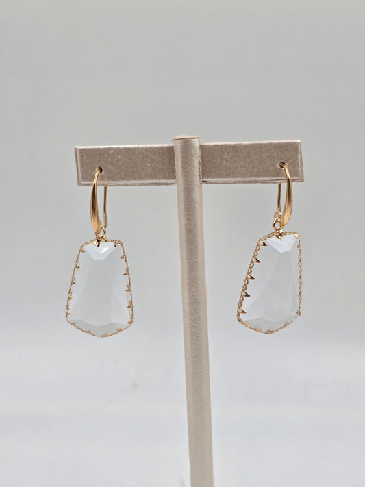 N-Claw-Set Crystal Drop Earrings