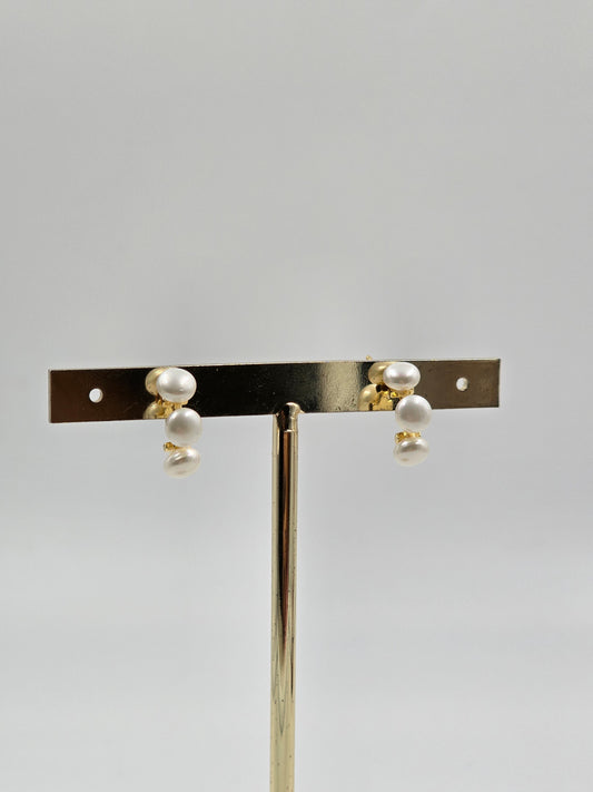 Pearl Charms Earrings