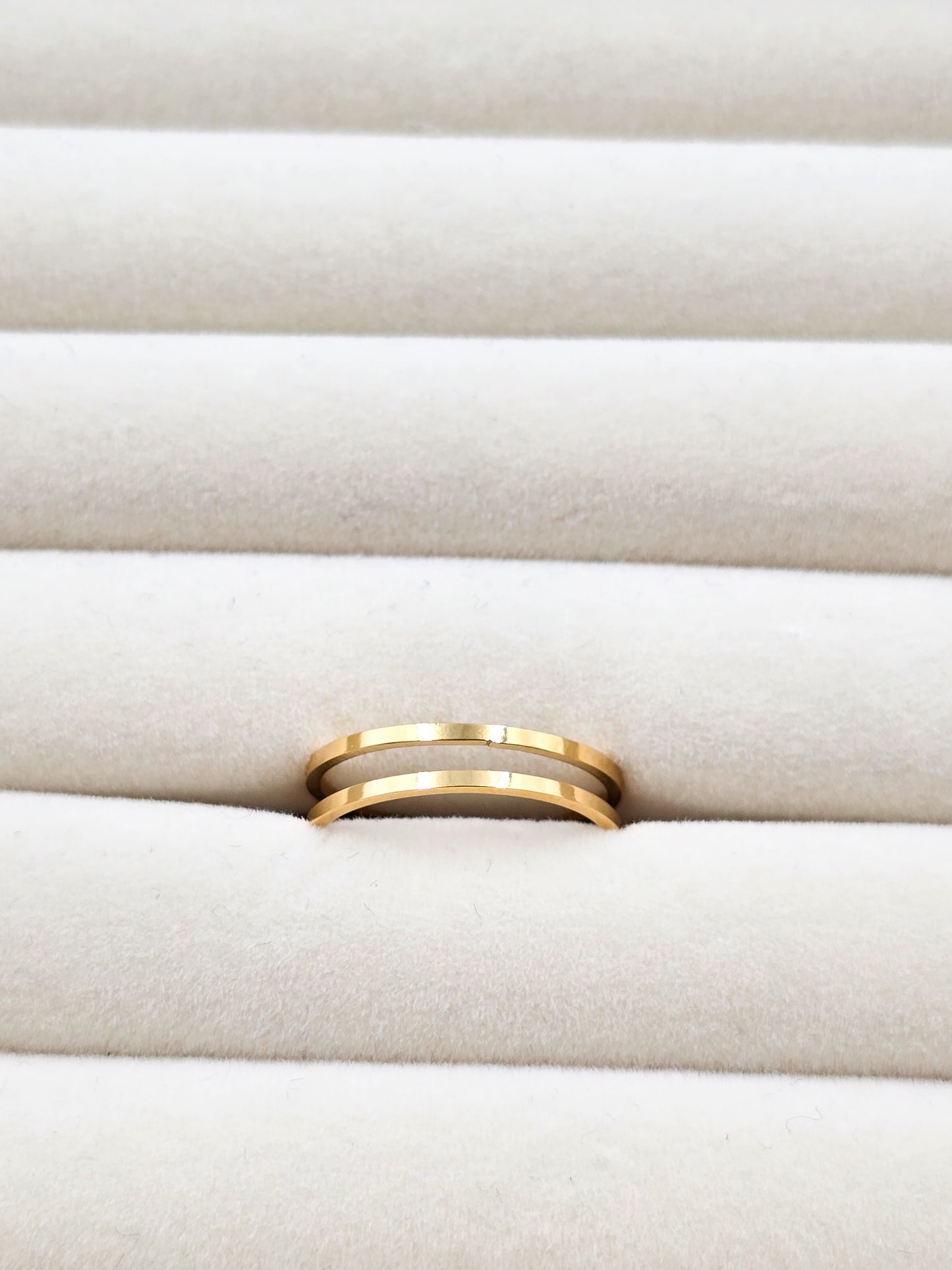 Stainless Steel Simple Double Row Ring