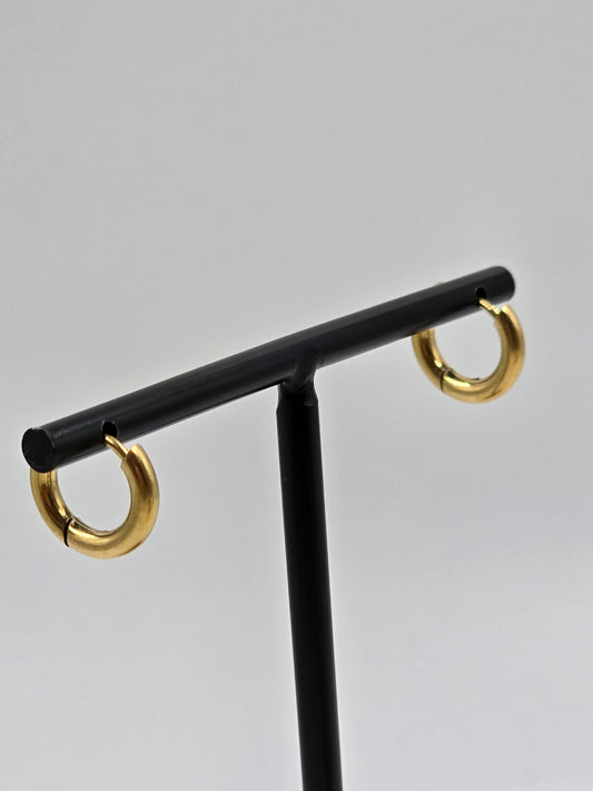 A - Stainless Steel Hoops