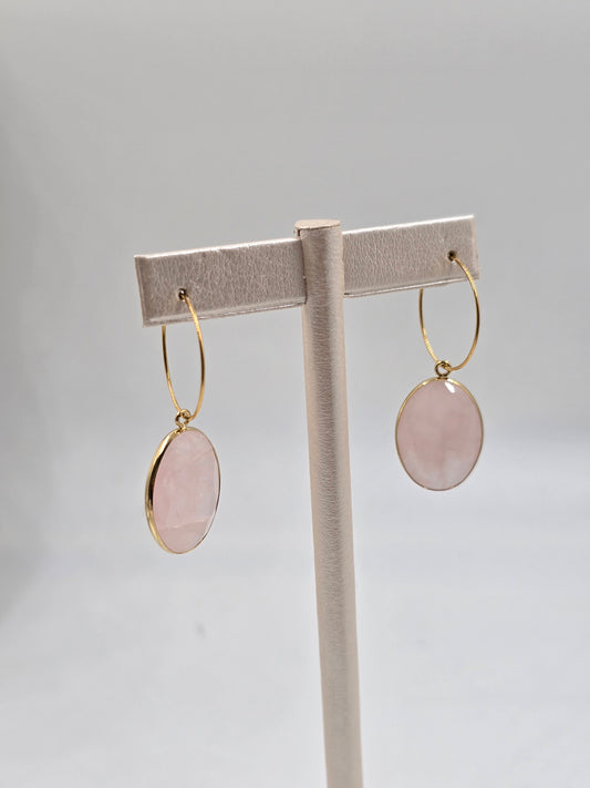 N- Natural Stone Stainless Steel Drop Earrings
