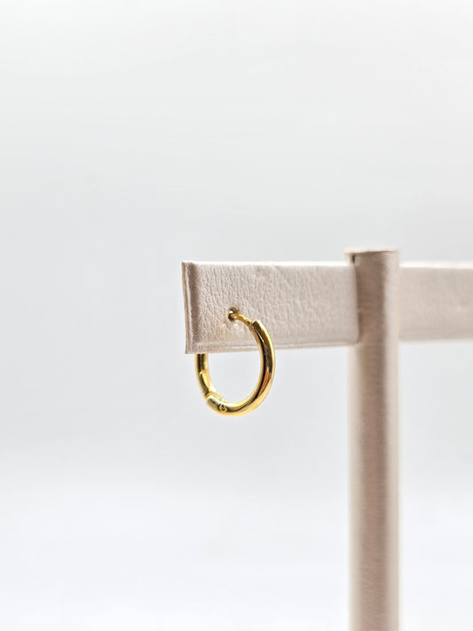 N - Gold Piercings