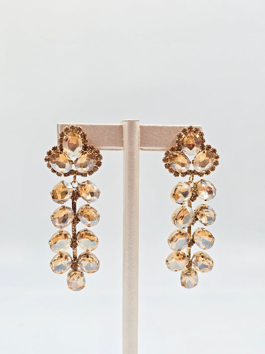 N - Brown Gemstones Earrings