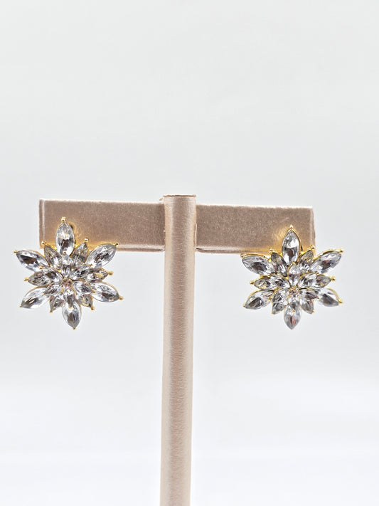 N - Snowflake Earring
