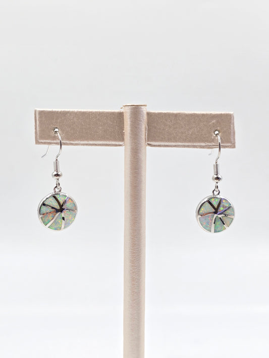 N - Silver Fishhook Dangle Earrings