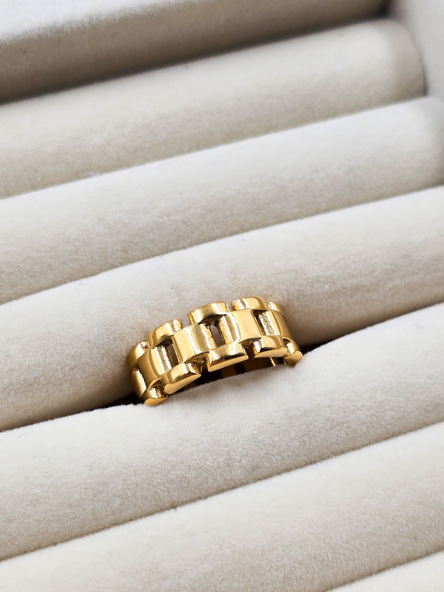 Stainless Steel Wide Ring with Links